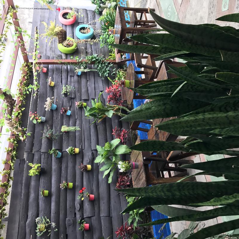 Hostal Ciudad De Segorbe Salento Eksteriør bilde